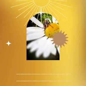 Download track Warm Recharging Routines Jazz Chill Out Lounge