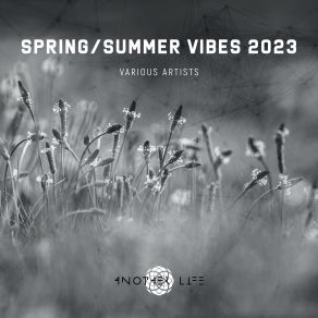 Download track After Rain (Original Mix) Dub Abstract