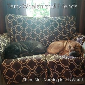 Download track Rock N Roll Kinda Way The Terry Whalen BandJohn Campbelljohn