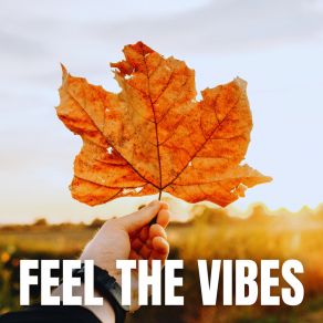 Download track Just Vibes Zenno