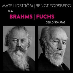 Download track 10. III. Allegro Vivace Bengt Forsberg, Mats Lidström