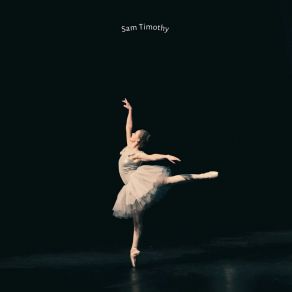 Download track Encoded Euphony Sam Timothy