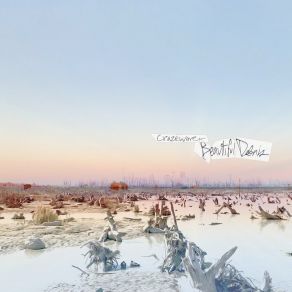 Download track Teenage Target Practice Crazewave