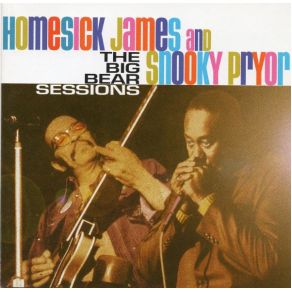 Download track Baby Left Me A Mule To Ride Homesick James, Snooky Pryor