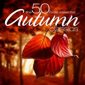 Download track String Quartet No. 15 In D Minor, K. 421: III. Menuetto And Trio. Allegretto Salzburg Mozarteum Quartet