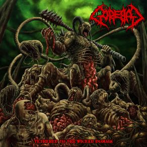 Download track From Nascency Toward Termination Gorebag