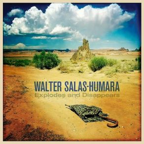 Download track The Sunshine And The Moon Walter Salas-Humara