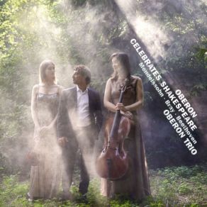 Download track Piano Trio No. 2 In C Minor, Op. 66: IV. Finale. Allegro Appassionato Oberon Trio