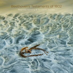 Download track 03. Sonata No. 8 For Violin And Piano In G Major, Op. 30 No. 3 III. Allegro Vivace Ludwig Van Beethoven