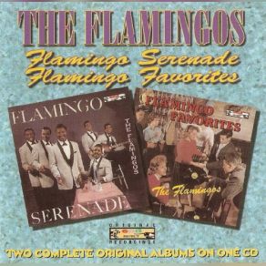 Download track Mio Amore The Flamingos