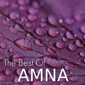 Download track Arme (Radio Edit) AmnaWhat'S Up