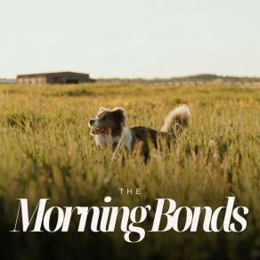 Download track Lessons Lucidly, Yet Languidly Learned Puppy Music