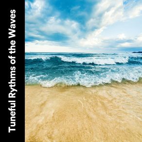 Download track Collecting Shells Ocean Sound Machine