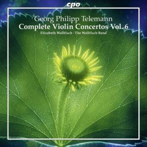 Download track 08. Overture Concerto In A Major For Violin, Strings & B. C TWV 55A7 Ouverture Georg Philipp Telemann