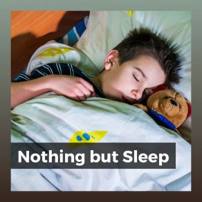 Download track Time To Hibernate Baby Sleeping Music