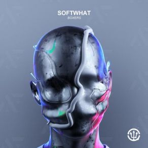 Download track Funked Up Softwhat