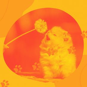 Download track Pulsating Ambiance For Dogs At Home Alone Music For Leaving Dogs Home Alone