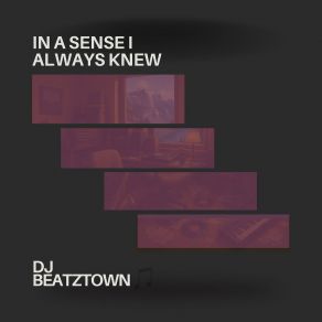 Download track Sometimes I Wish It Wasn't DJ Beatztown