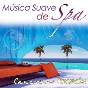 Download track Relaxing Music (How To Deal With Stress) Musica Para EstudiarSTRESS, Yin Yang