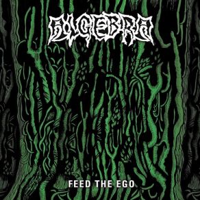 Download track Feed Me More Algebra