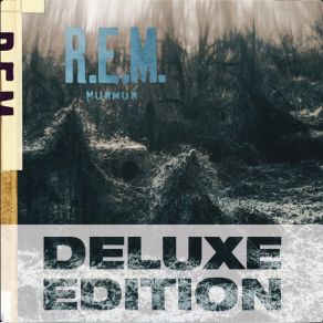 Download track Shaking Through R. E. M.