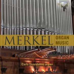Download track Organ Sonata No. 6 In E Minor, Op. 137: III. Introduction. (Allegro Risoluto-Andante-A Tempo) Carlo Guandalino