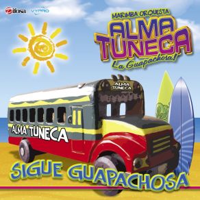 Download track Echame La Culpa Marimba Orquesta