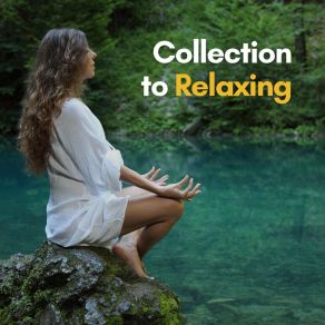 Download track Won't Stop For Anyone Relaxation