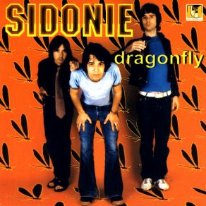 Download track Beautiful Stranger Sidonie