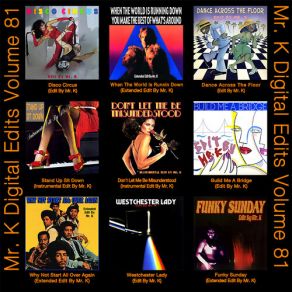 Download track Why Not Start All Over Again (Extended Edit By Mr. K) Mr. K