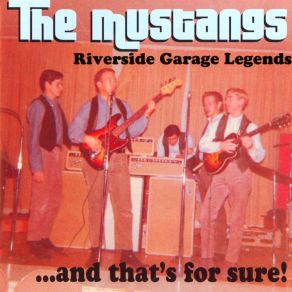 Download track It'S Gonna Work Out Fine Mustang