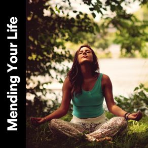 Download track Partial Elements Mind Of Peace