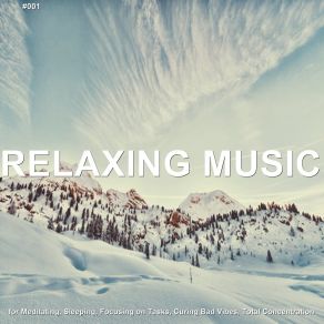 Download track Zen Path Relaxing Music Therapy