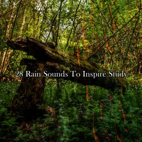 Download track Simulating Stimulation Rain Sounds