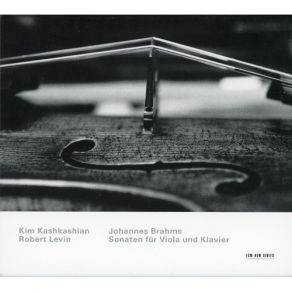 Download track 2. Sonate In Es-Dur Op. 120 No. 2: II. Allegro Appassionato - Sostenuto - Tempo I Johannes Brahms