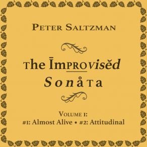 Download track Improvised Sonata # 1, Movement 4 (Fast, Bluesy And Pointless) Peter SaltzmanFast, Pointless