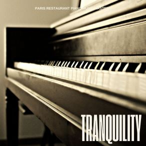 Download track Starlit Piano Cascade Paris Restaurant Music Masters