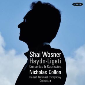 Download track Concerto In D Major, Hob. XVIII: 11: III. Rondo All' Ungarese. Allegro Assai Shai WosnerDanish National Symphony Orchestra, Nicholas Collon