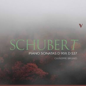 Download track Piano Sonata In A Minor, Op. 164, D. 537: II. Allegretto Quasi Andantino Giuseppe Bruno