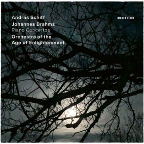 Download track 2. Concerto For Piano And Orchestra No. 1 In D Minor Op. 15 - II. Adagio Johannes Brahms