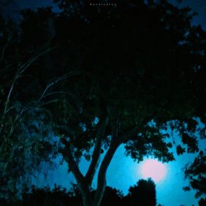 Download track Between The Trees Magarii
