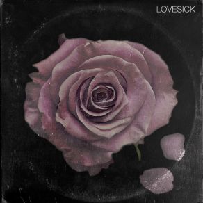 Download track Just Fall In Love Apollo Brown, Raheem DevaughnWESTSIDE BOOGIE