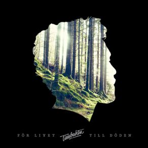 Download track Spring Timbuktu