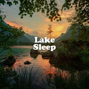Download track Into A Drain Nature Soundscapes