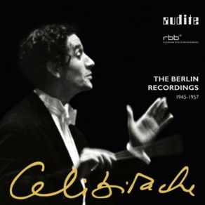 Download track Dvorak, Cello Concerto In B Minor, Op. 104 - II. Adagio Ma Non Troppo Berliner Philharmoniker, Sergiu CelibidacheTibor De Machula