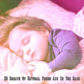 Download track A Rumble In The Night Rain For Deep Sleep