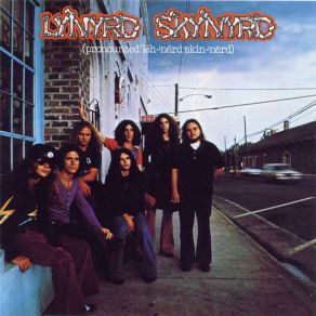 Download track Mama'S Song Lynyrd Skynyrd