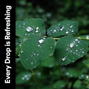 Download track Taking A Step Back Rainfall Place