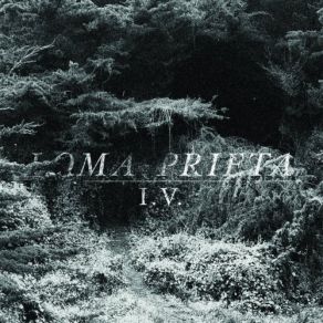 Download track Aside From This Distant Shadow, There Is Nothing Left Loma Prieta