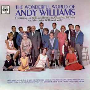 Download track A Fool Never Learns Andy Williams
